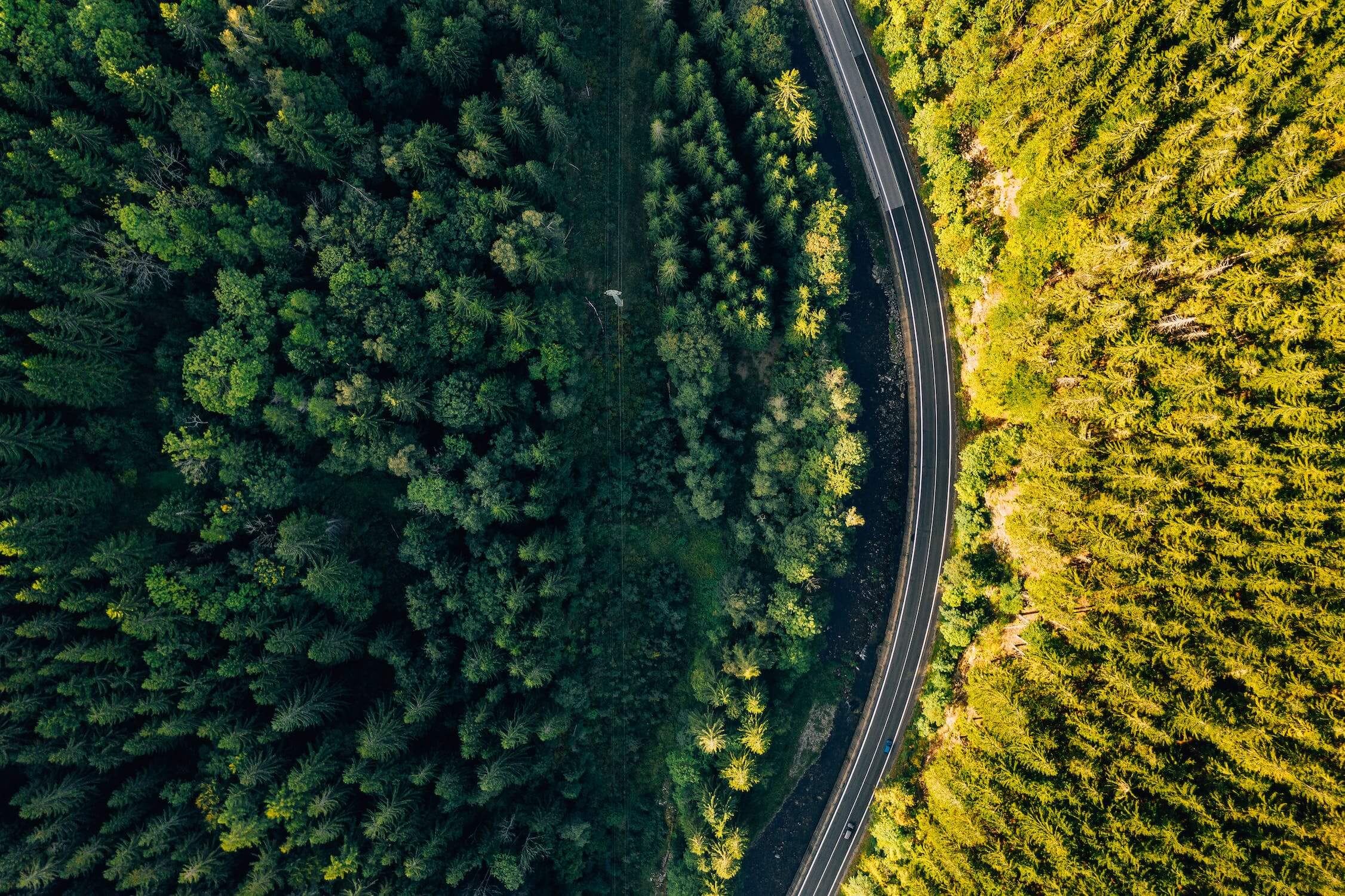 sustainability – Stankevicius