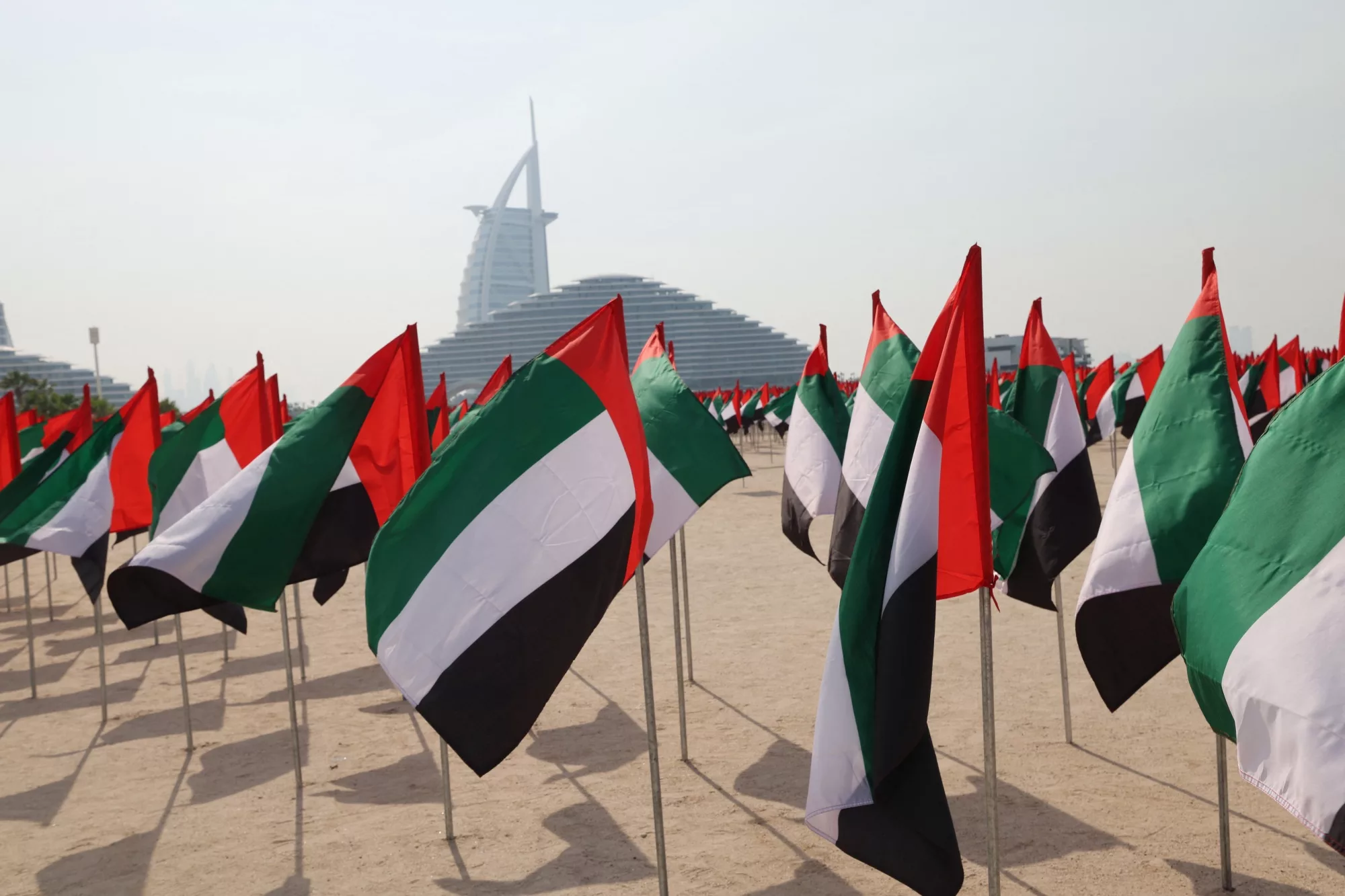 uae flag – Stankevicius