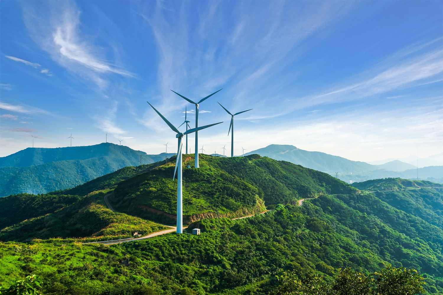 green fund – Stankevicius