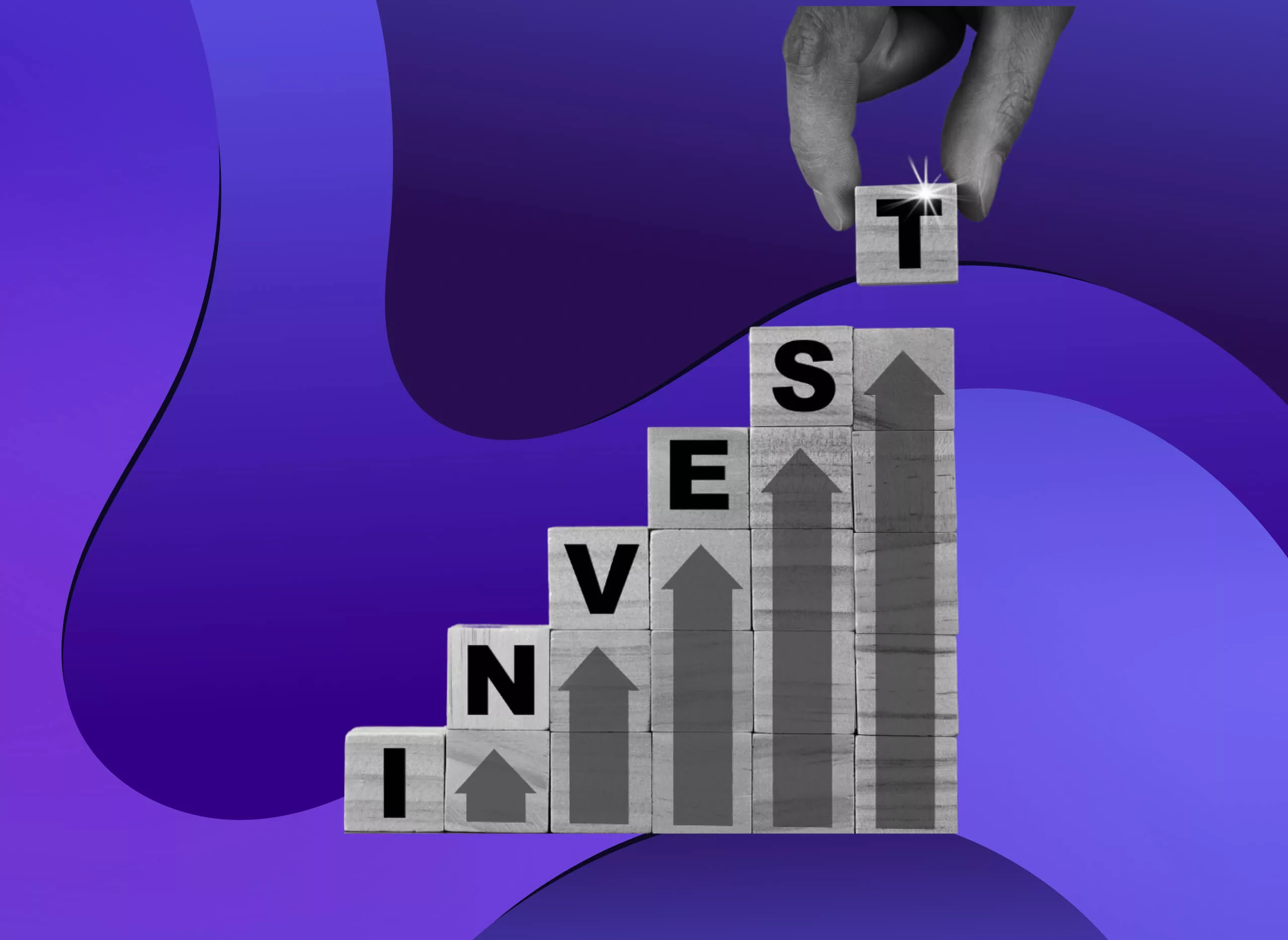 portfolio – Stankevicius