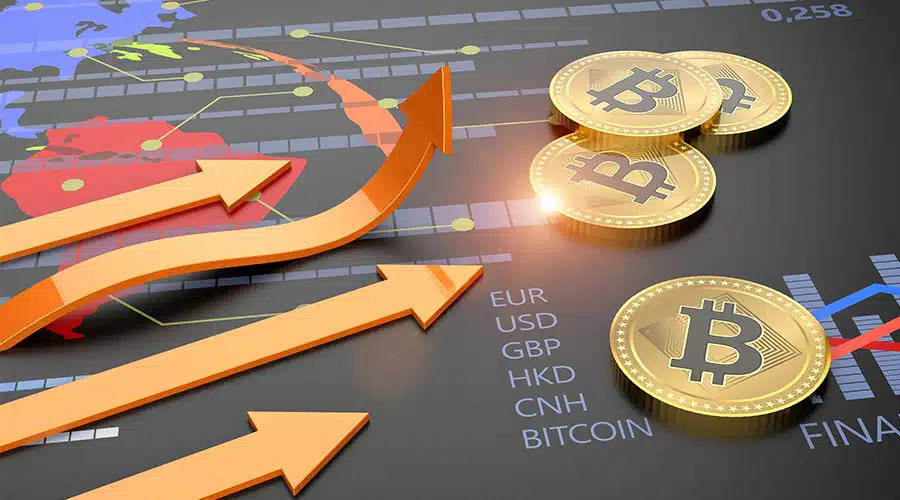 crypto business – Stankevicius
