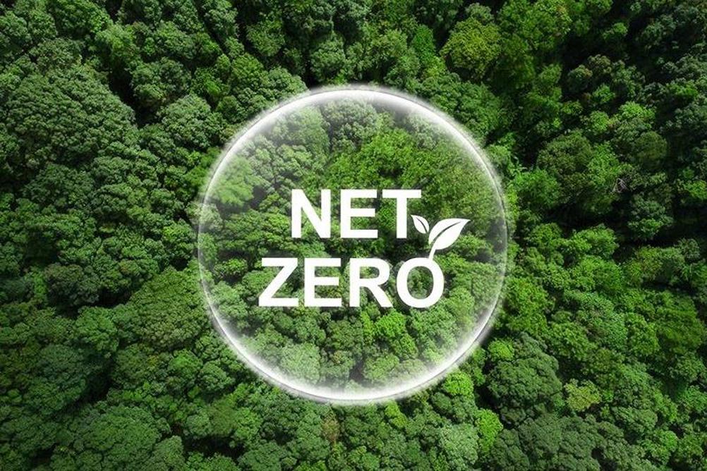 net zero – Stankevicius