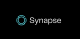 Synapse – Stankevicius