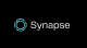 Synapse – Stankevicius