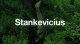Stankevicius International  - Carbon Credit Trading – Stankevicius Stankevicius International - Carbon Credit Trading